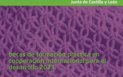 Abierto plazo solicitud ayudas a proyectos de Educación para el Desarrollo y Sensibilización 2023-2024 | Universidad de Valladolid