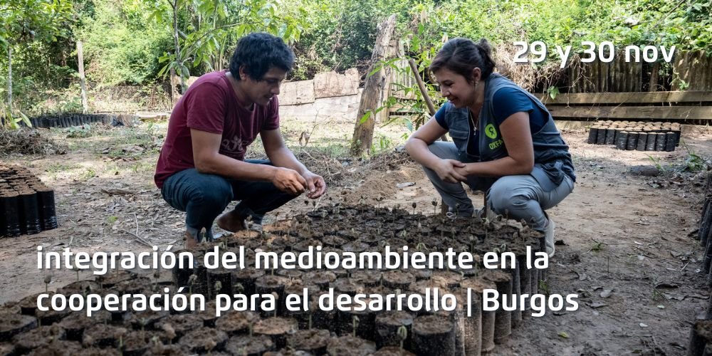 Relación entre el desarrollo sostenible y el medio ambiente, transversalización del medioambiente y herramientas para su integración